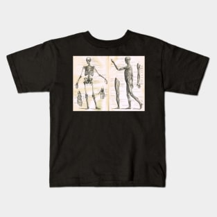 19th century anatomy illustration parts of  a human skeleton Kids T-Shirt